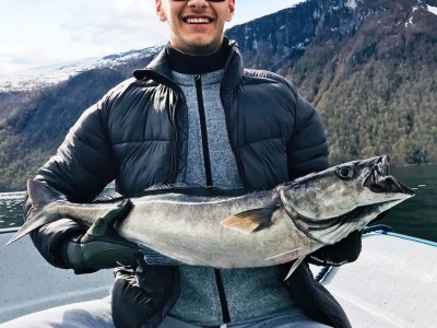 Apartment 6 person holiday home in EIDSVÅG - Outdoor photo 47