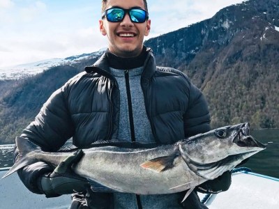 Apartment 5 person holiday home in EIDSVÅG - Outdoor photo 25