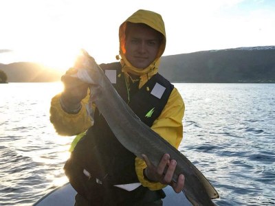 Apartment 5 person holiday home in EIDSVÅG - Outdoor photo 57