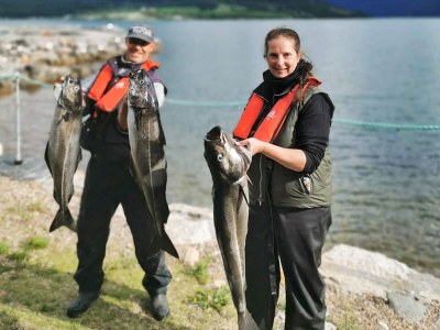 Apartment 5 person holiday home in EIDSVÅG - Outdoor photo 58