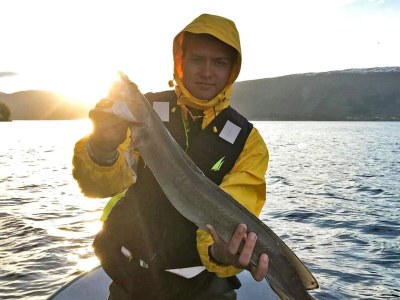 Holiday house 10 Personen Ferienhaus in EIDSVÅG - Outdoor photo 27