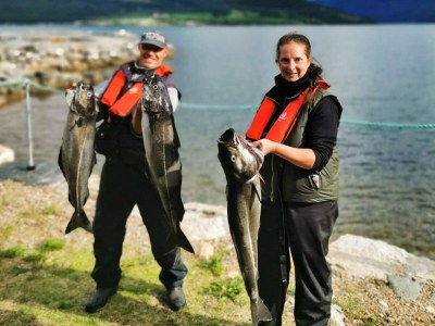 Holiday house 10 Personen Ferienhaus in EIDSVÅG - Outdoor photo 56