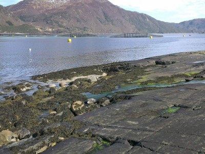 Holiday house 6 Personen Ferienhaus in Halsanaustan - Outdoor photo 17