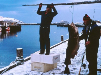 Holiday house 7 Personen Ferienhaus in BREIVIKBOTN - Outdoor photo 4