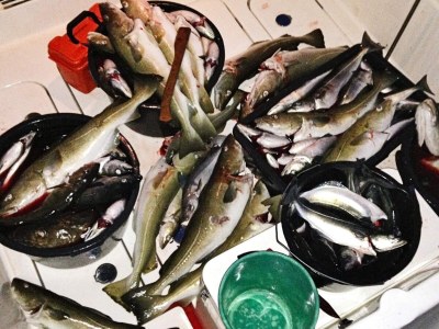 Holiday house 7 Personen Ferienhaus in BREIVIKBOTN - Outdoor photo 7