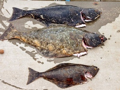 Holiday house 7 Personen Ferienhaus in BREIVIKBOTN - Outdoor photo 26