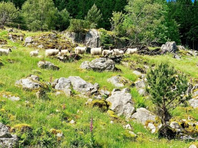 Holiday house Serene Waterfront Retreat-By Traum - Outdoor photo 17