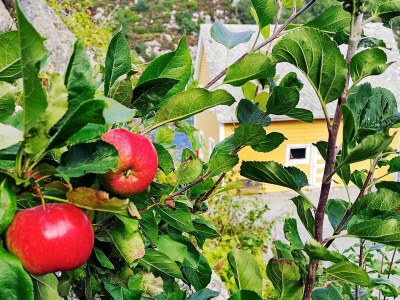 Holiday house Kustennaher Fischerhafen-By Traum - Outdoor photo 44