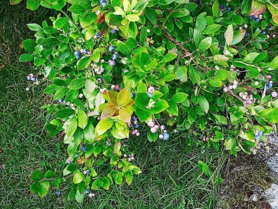 Holiday house Kustennaher Fischerhafen-By Traum - Outdoor photo 46