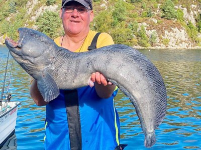 Holiday house Kustennaher Fischerhafen-By Traum - Outdoor photo 59