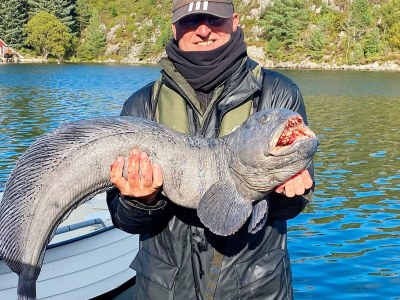 Holiday house Kustennaher Fischerhafen-By Traum - Outdoor photo 65