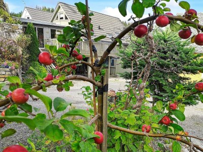 Holiday house Kustennaher Fischerhafen-By Traum - Outdoor photo 75