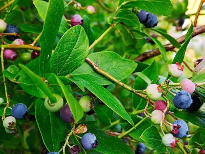 Holiday house Kustennaher Fischerhafen-By Traum - Outdoor photo 77