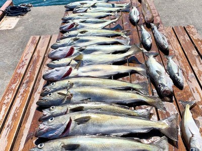 Holiday house Kustennaher Fischerhafen-By Traum - Outdoor photo 82