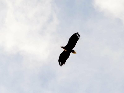 Holiday house 10 person holiday home in Brattvåg - Outdoor photo 16