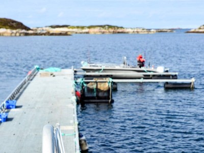 Holiday house 6 Personen Ferienhaus in Dyrvik - Outdoor photo 23