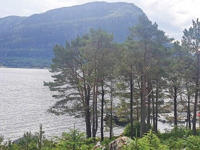 Holiday house 7 person holiday home in Svelgen - Outdoor photo 26