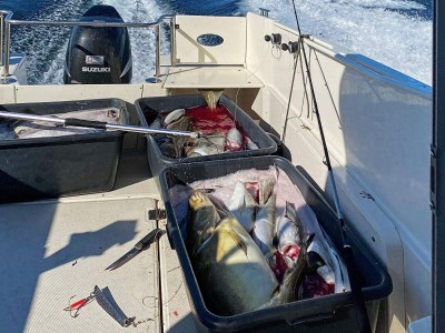 Holiday house 8 person holiday home in Barmen - Outdoor photo 17