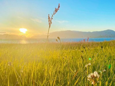 Holiday house 10 person holiday home in Brekke - Outdoor photo 25