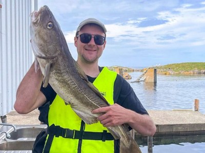 Holiday house 6 person holiday home in Bud - Outdoor photo 19