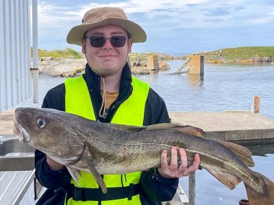 Holiday house 6 person holiday home in Bud - Outdoor photo 51