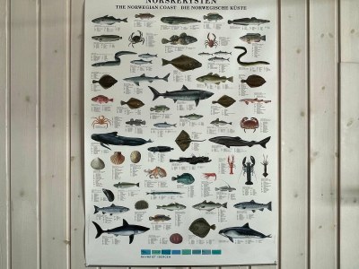 Holiday house 6-Person Holiday Home Rubbestadneset - Outdoor photo 28