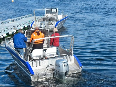Holiday house 6 Personen Ferienhaus in Kverva - Outdoor photo 27