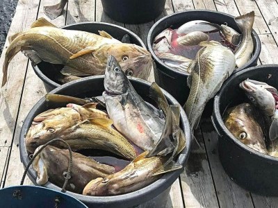 Holiday house 6 Personen Ferienhaus in Kverva - Outdoor photo 10