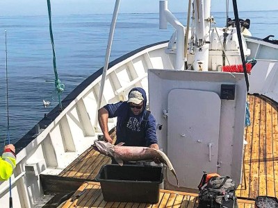 Holiday house 6 Personen Ferienhaus in Kverva - Outdoor photo 13