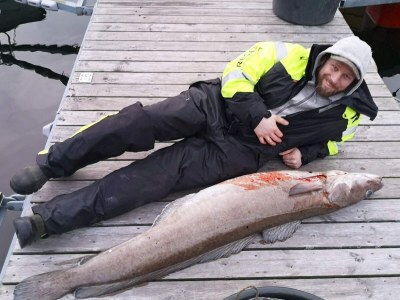 Holiday house 10 person holiday home in Stordal - Outdoor photo 26