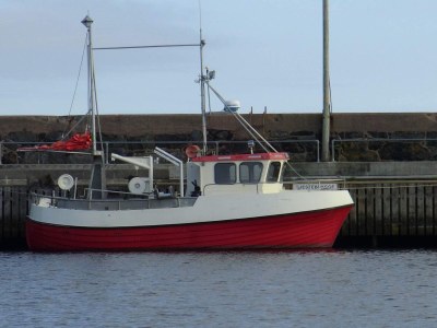 Holiday house 9 person holiday home in Utsira-By Traum - Outdoor photo 13