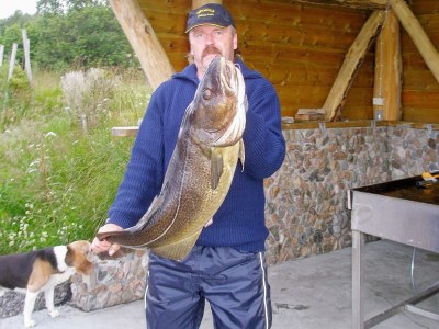 Holiday house 10 Personen Ferienhaus in EIDSVÅG-By Traum - Outdoor photo 23