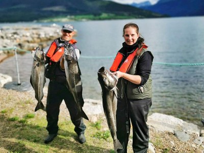 Holiday house 10 Personen Ferienhaus in EIDSVÅG-By Traum - Outdoor photo 25