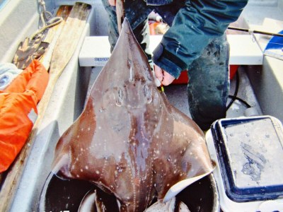 Holiday house 10 Personen Ferienhaus in EIDSVÅG-By Traum - Outdoor photo 30