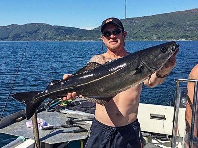 Holiday house 10 Personen Ferienhaus in EIDSVÅG-By Traum - Outdoor photo 48
