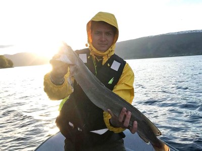Holiday house 10 Personen Ferienhaus in EIDSVÅG-By Traum - Outdoor photo 62