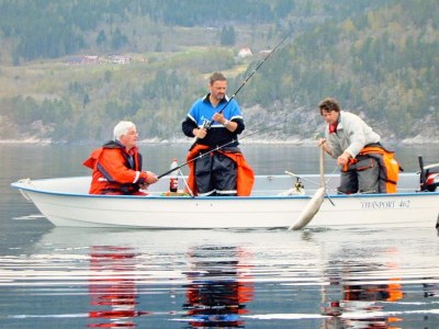 Holiday house 10 Personen Ferienhaus in EIDSVÅG-By Traum - Outdoor photo 64