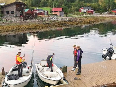 Holiday house 10 Personen Ferienhaus in EIDSVÅG-By Traum - Outdoor photo 69