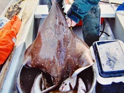 Holiday house 6 person holiday home in EIDSVÅG-By Traum - Outdoor photo 16