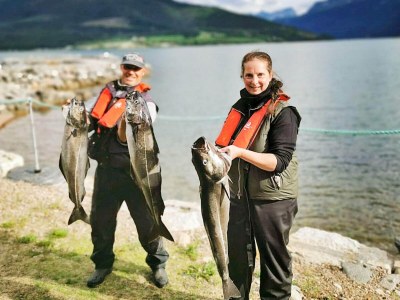 Holiday house 6 person holiday home in EIDSVÅG-By Traum - Outdoor photo 57