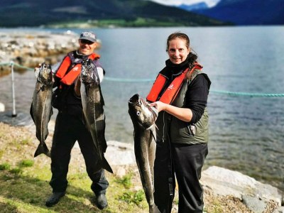 Holiday house 15 Personen Ferienhaus in EIDSVÅG-By Traum - Outdoor photo 17