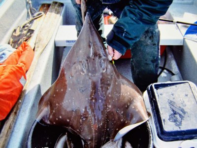Holiday house 15 Personen Ferienhaus in EIDSVÅG-By Traum - Outdoor photo 48