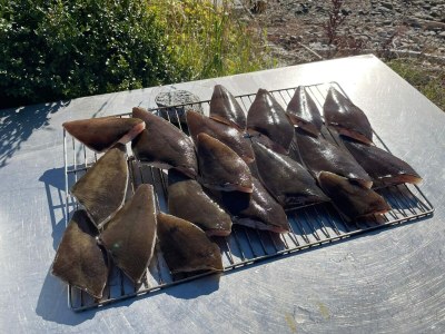 Apartment 6 person holiday home in EIDSVÅG-By Traum - Outdoor photo 15