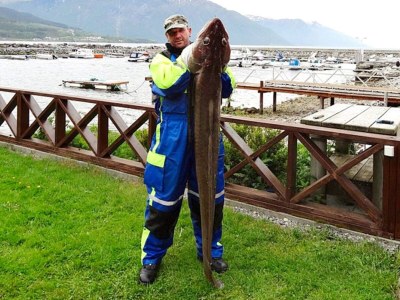 Apartment 6 person holiday home in EIDSVÅG-By Traum - Outdoor photo 35