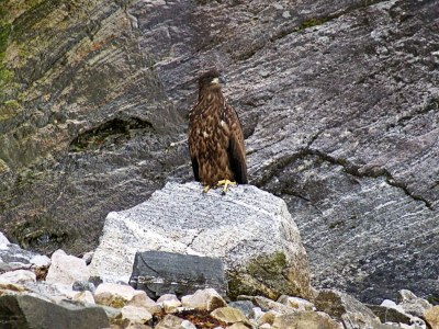 Apartment 6 person holiday home in EIDSVÅG-By Traum - Outdoor photo 37