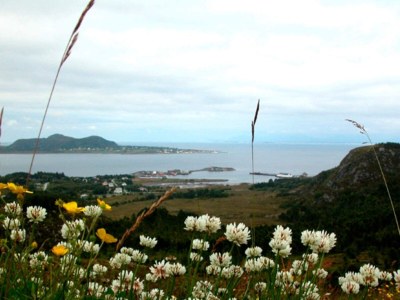 Holiday house 11 Personen Ferienhaus in Fjørtoft-By Traum - Outdoor photo 11
