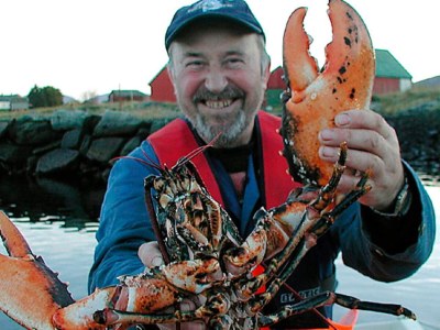 Holiday house 11 Personen Ferienhaus in Fjørtoft-By Traum - Outdoor photo 28