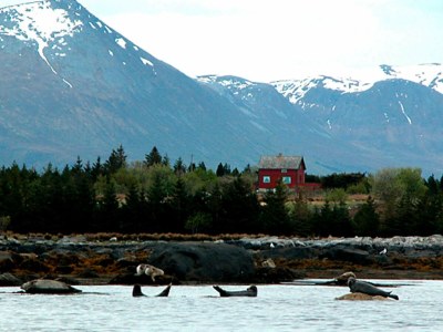 Holiday house 11 Personen Ferienhaus in Fjørtoft-By Traum - Outdoor photo 49