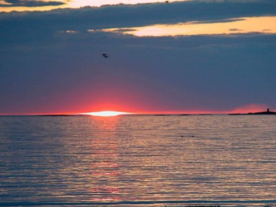 Holiday house 11 Personen Ferienhaus in Fjørtoft-By Traum - Outdoor photo 69