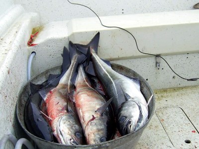 Holiday house 6 person holiday home in Bøstad-By Traum - Outdoor photo 13